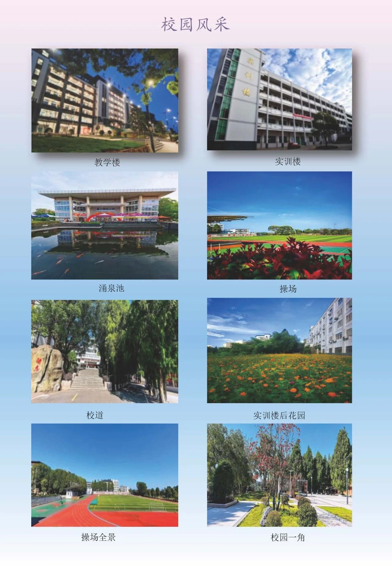 ����ʡ�������Q(m��o)�W(xu��)У2026����������